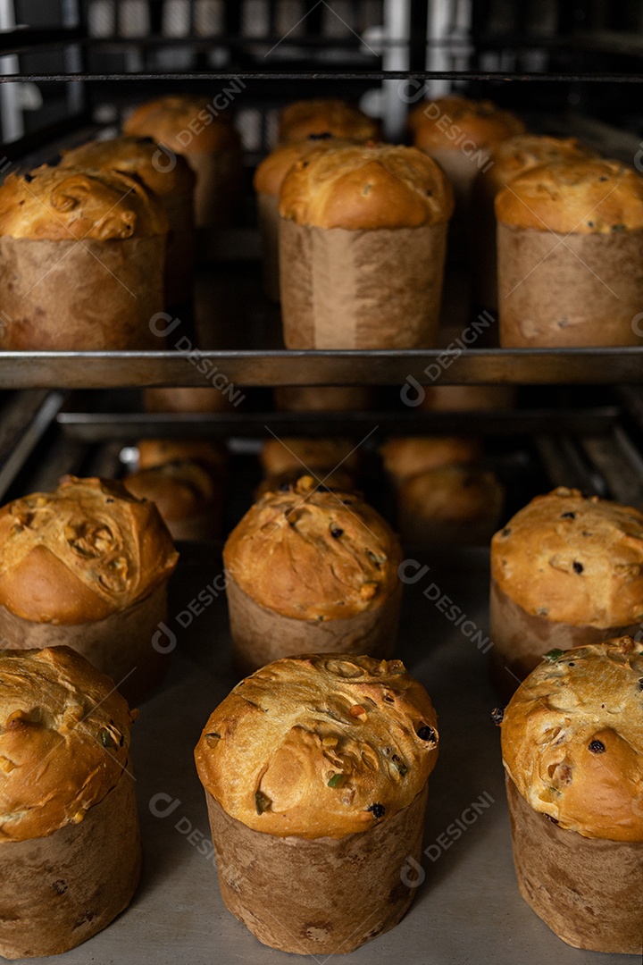 Preparação de panetones com gostas de chocolate