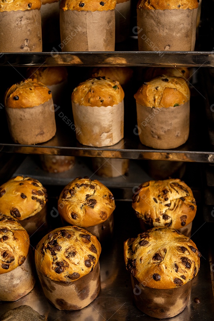 Preparação de panetones com gostas de chocolate