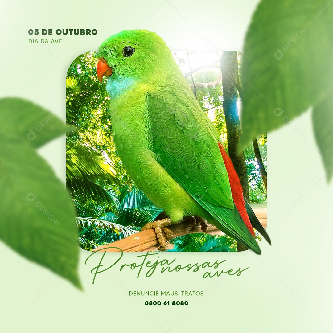 Proteja Nossas Aves 5 de Outubro Dia das Aves Social Media PSD Editável