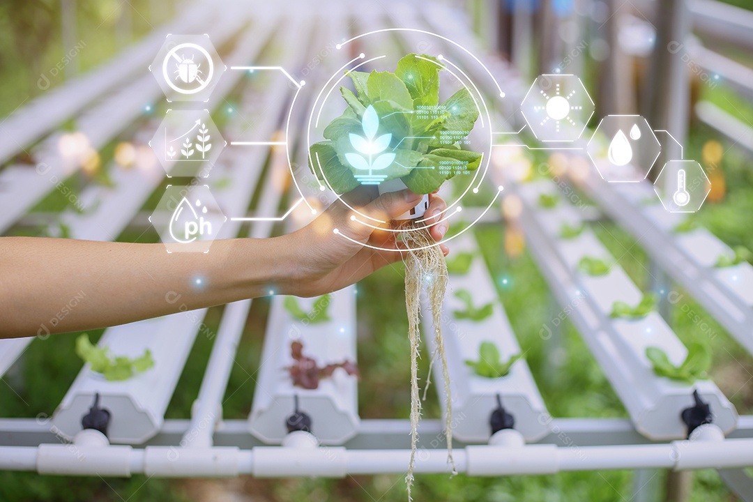 Tecnologia de inovação, Gestão da agricultura, Conceito de tecnologia