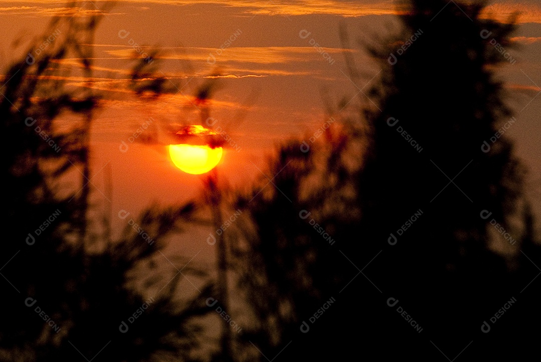 Paisagem por do sol floresta