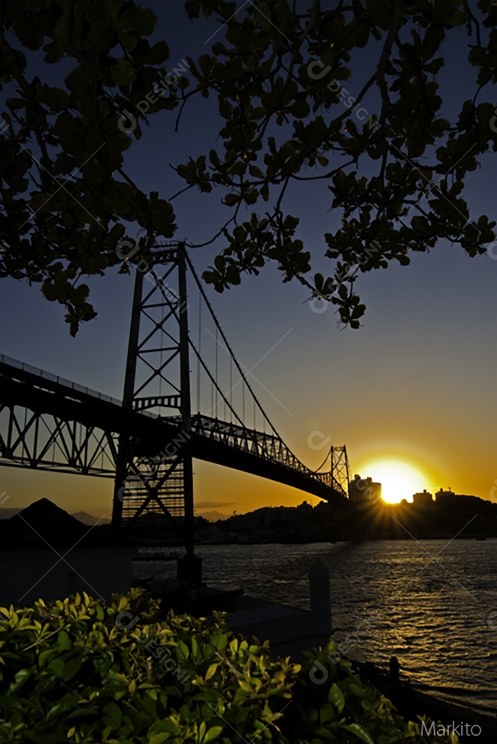 Paisagem por do sol floresta ponte