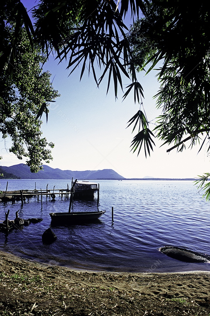 Paisagem natural floresta frente a praia