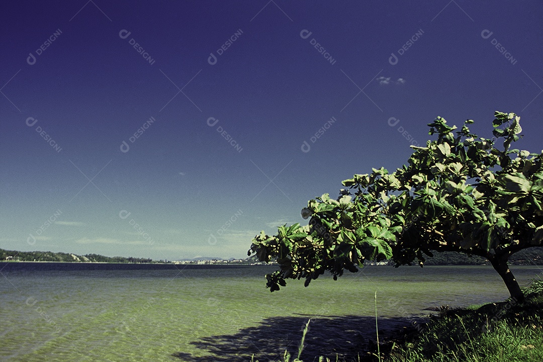 Praia paisagem pessoa curtindo verão