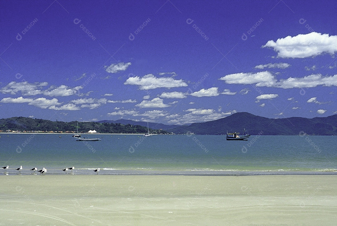 Paisagem praia mar ondas verão