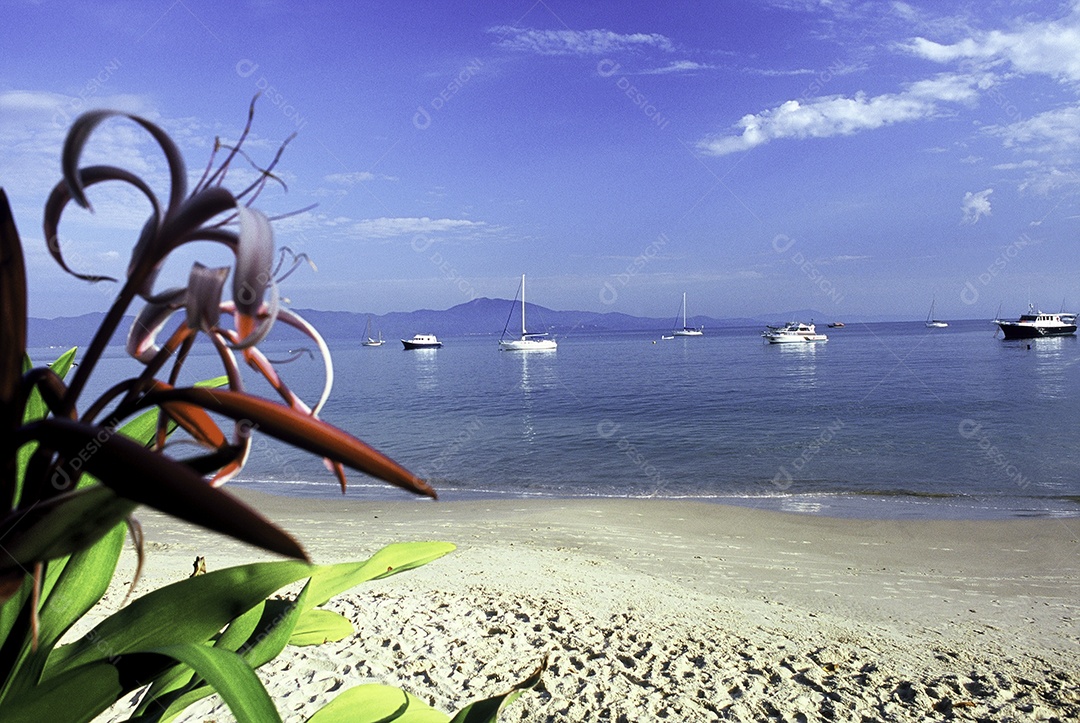 Praia barcos navegando sobre mar