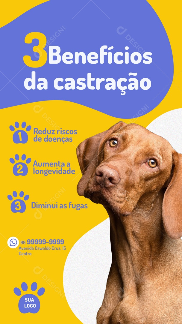 Os 3 Benefícios De Castração Para O Seu Pet Social Media PSD Editável
