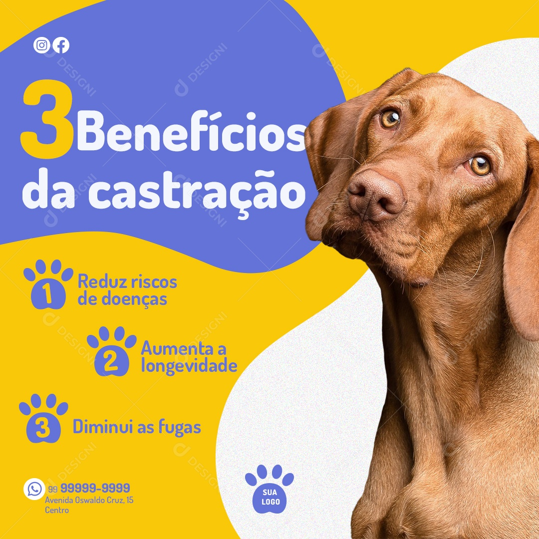 Os 3 Benefícios De Castração Para O Seu Pet Social Media PSD Editável