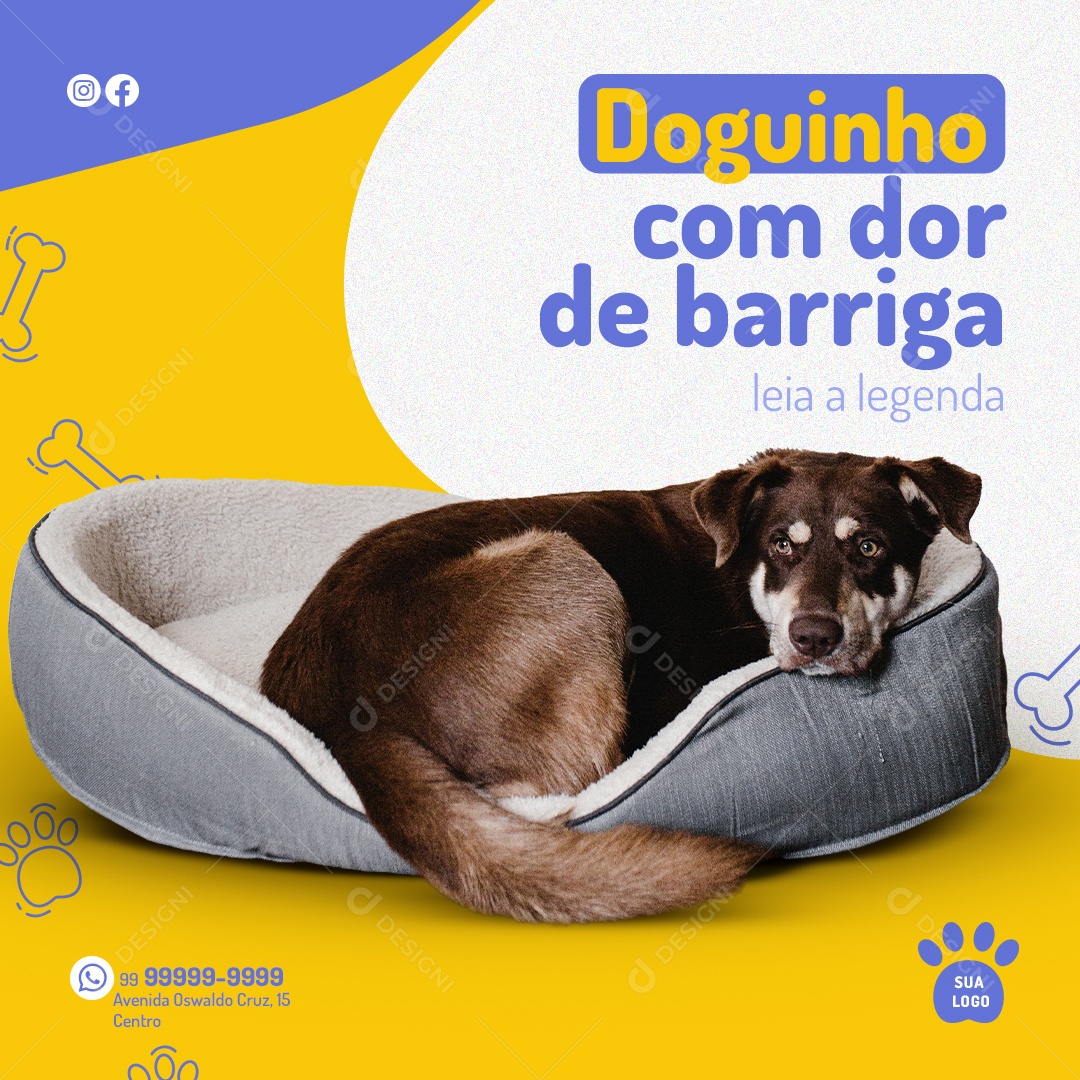 Doguinho Com Dor De Barriga Venha Traze-lo Para Uma Consulta Social Media PSD Editável