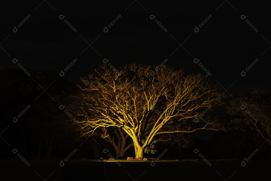 Ruínas de São José das Missões, Rio Grande do Sul, Brasil.
