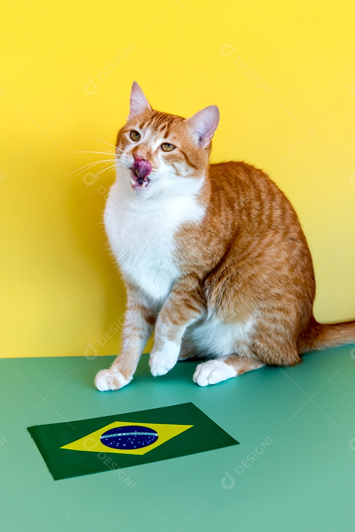 lindo gato amarelo sobre fundo verde e amarelo.