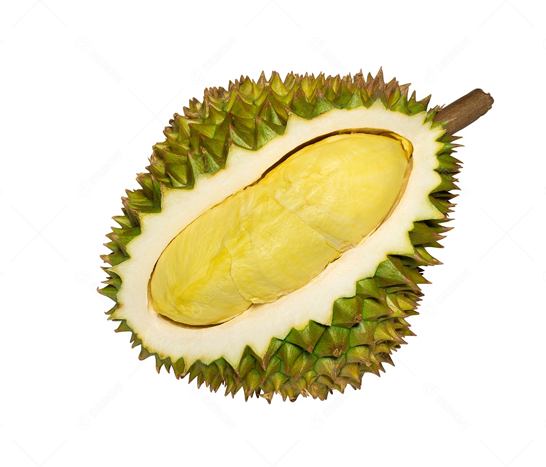 Durian fresco tailandês maduro, casca de durian em isolado de fundo branco, durian rei de frutas com caminho de clipe.