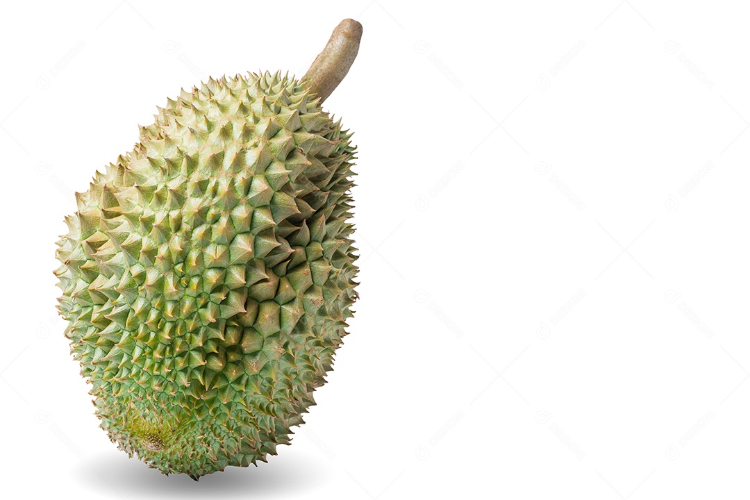 Durian fresco tailandês maduro, casca de durian em isolado de fundo branco, durian rei de frutas com caminho de clipe.