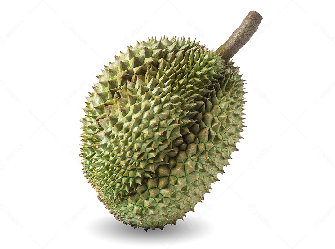 Durian fresco tailandês maduro, casca de durian em isolado de fundo branco, durian rei de frutas com caminho de clipe.