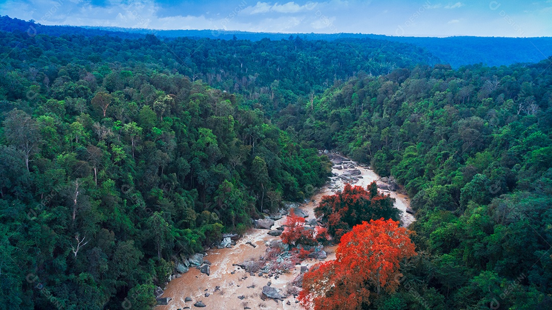 Vista aérea da bela cachoeira do rio natural e flores.