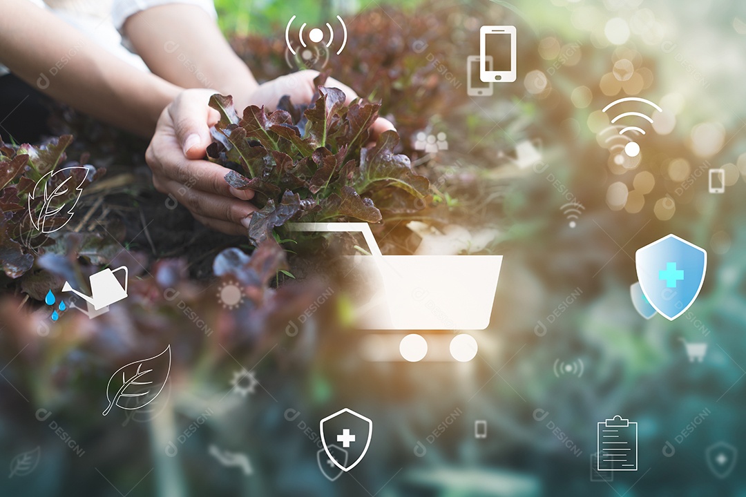 Mão segurando vegetais frescos para envio on-line com on-line.