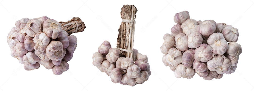 Alho de panícula fresco isolado no fundo branco com traçados de recorte.