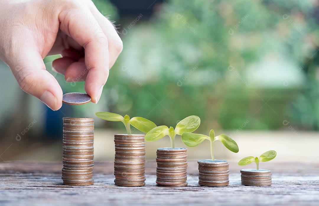 Mão com folhas ou plantas de folhas em moedas para a frente para lucros.