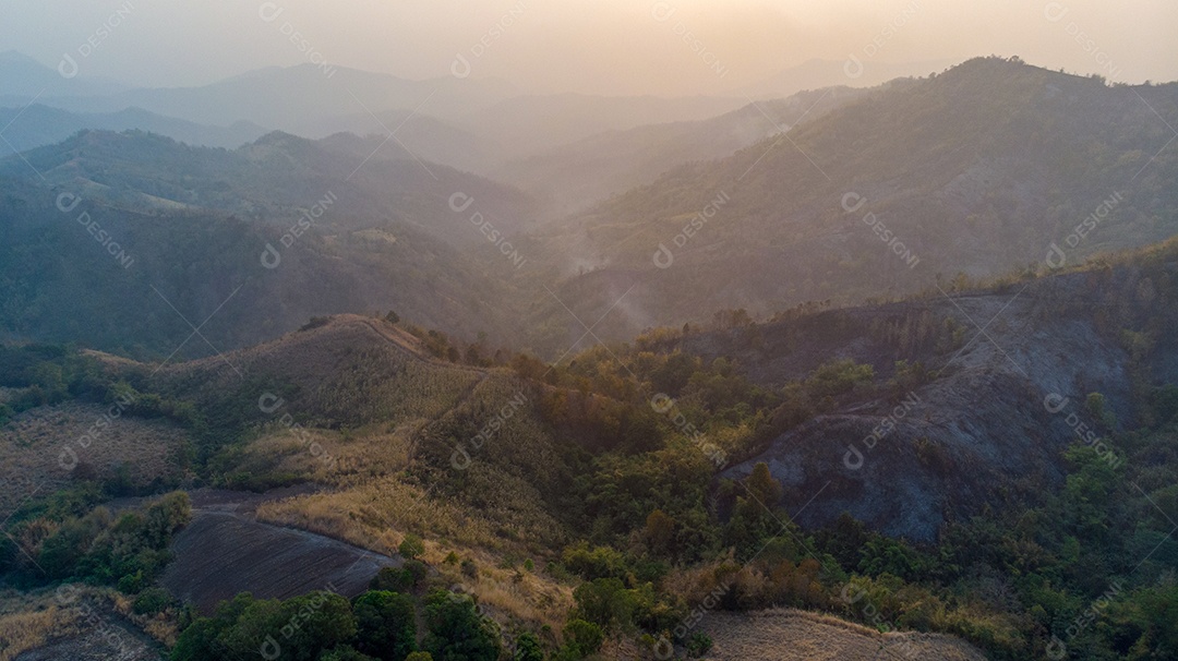 Bela paisagem de montanha amarela com nevoeiro e floresta. nascer do sol.