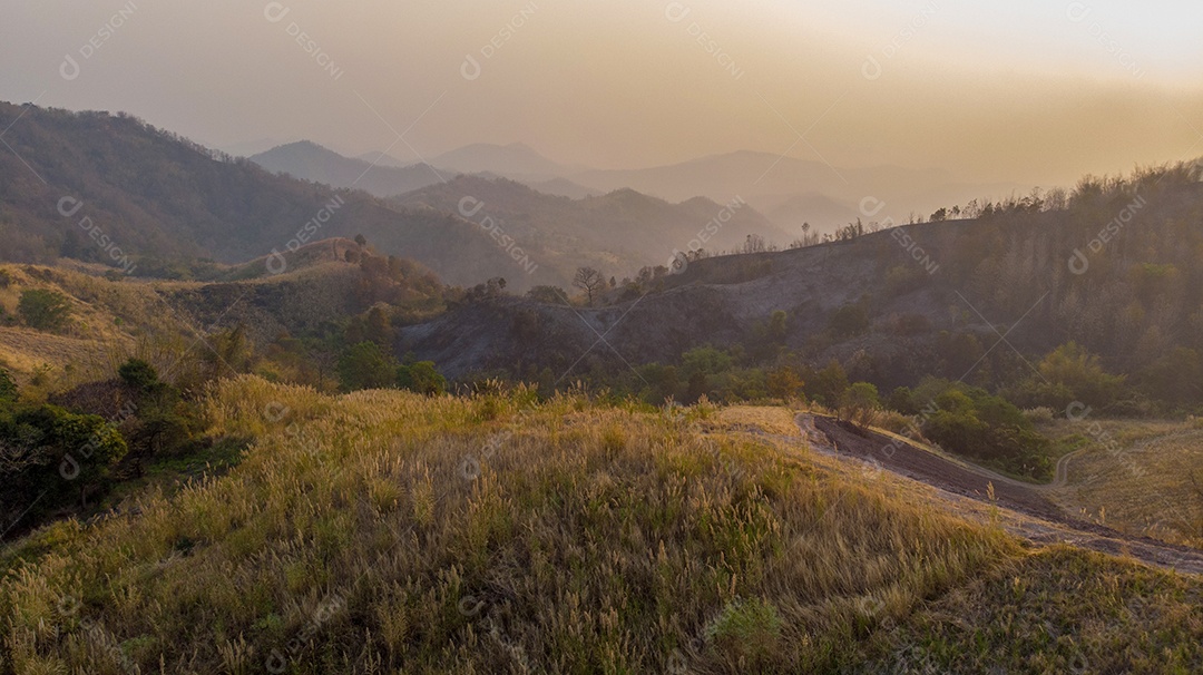 Bela paisagem de montanha amarela com nevoeiro e floresta. nascer do sol.