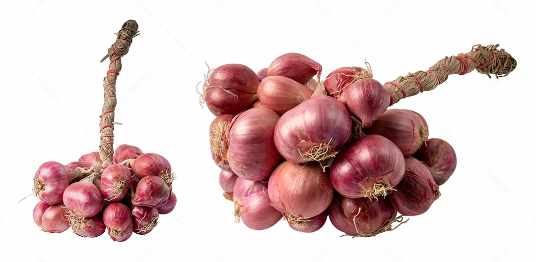 Cebola panícula fresca isolada no fundo branco com traçado de recorte.