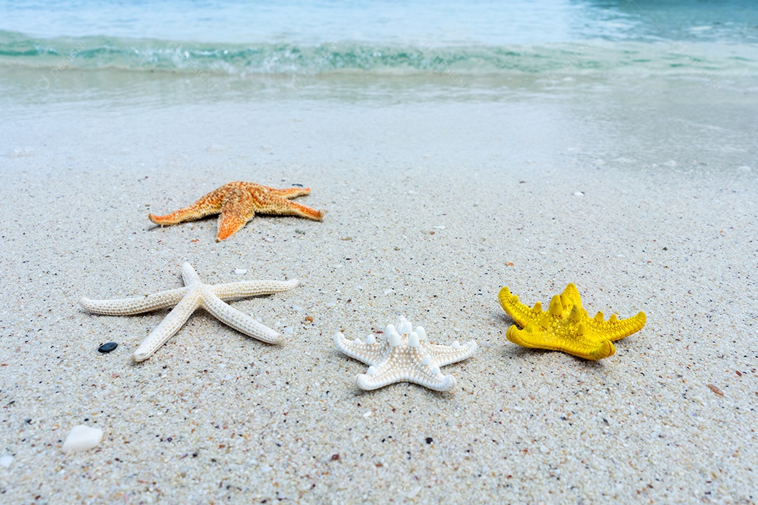 Estrela do mar na praia de areia em dia ensolarado com o belo mar.