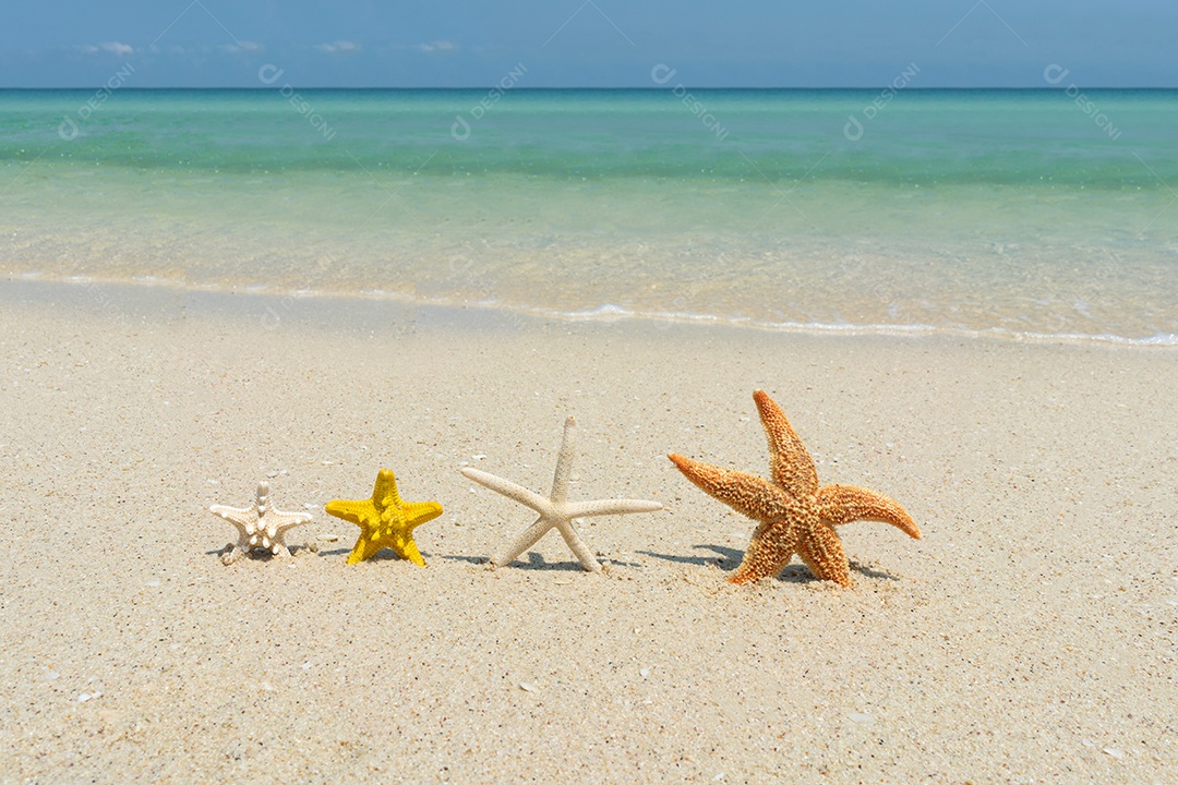 Estrela do mar na praia de areia em dia ensolarado com o belo mar.