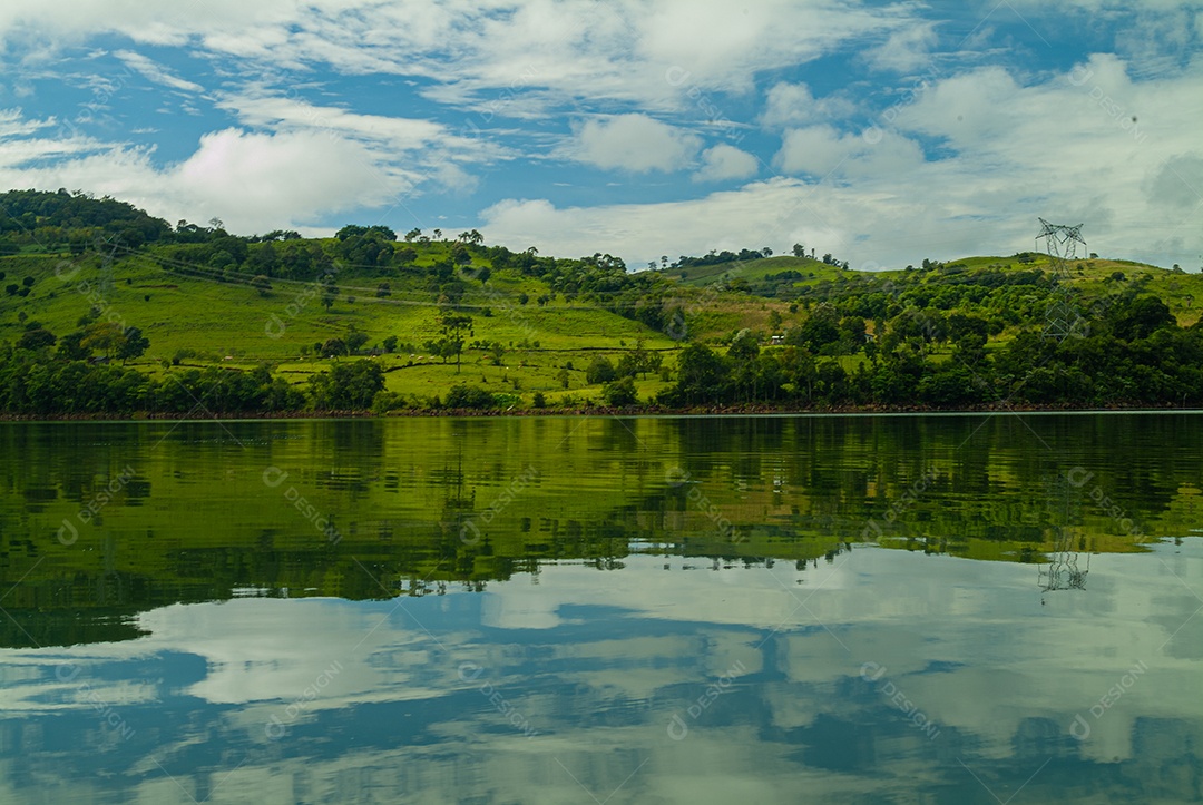 Plantas de mangue: Nos manguezais predominam plantas halofílicas