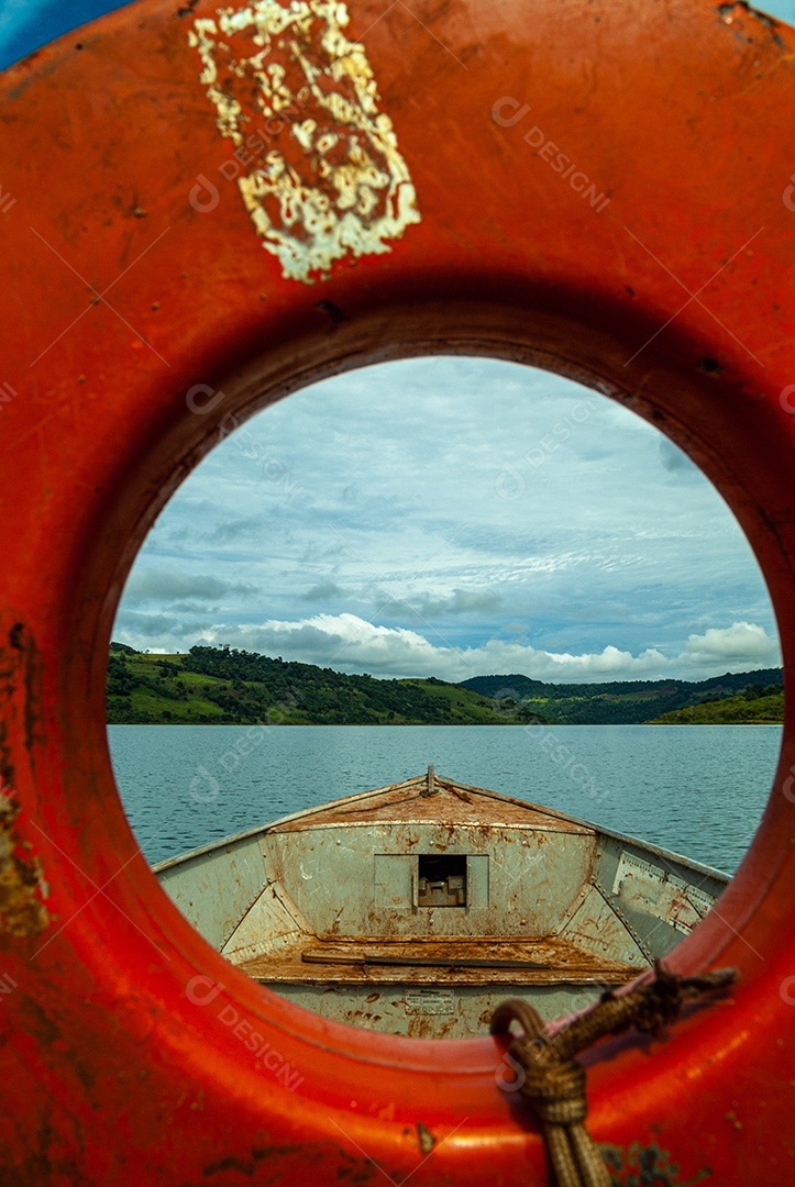 Plantas de mangue: Nos manguezais predominam plantas halofílicas