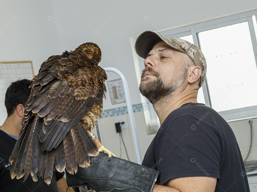 Ave machucada sendo cuidado por veterinários