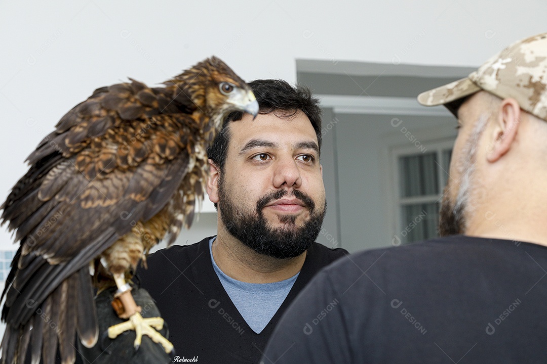 Ave machucada sendo cuidado por veterinários