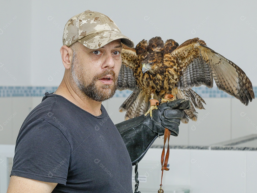 Ave machucada sendo cuidado por veterinários