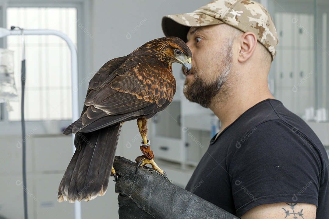 Ave machucada sendo cuidado por veterinários