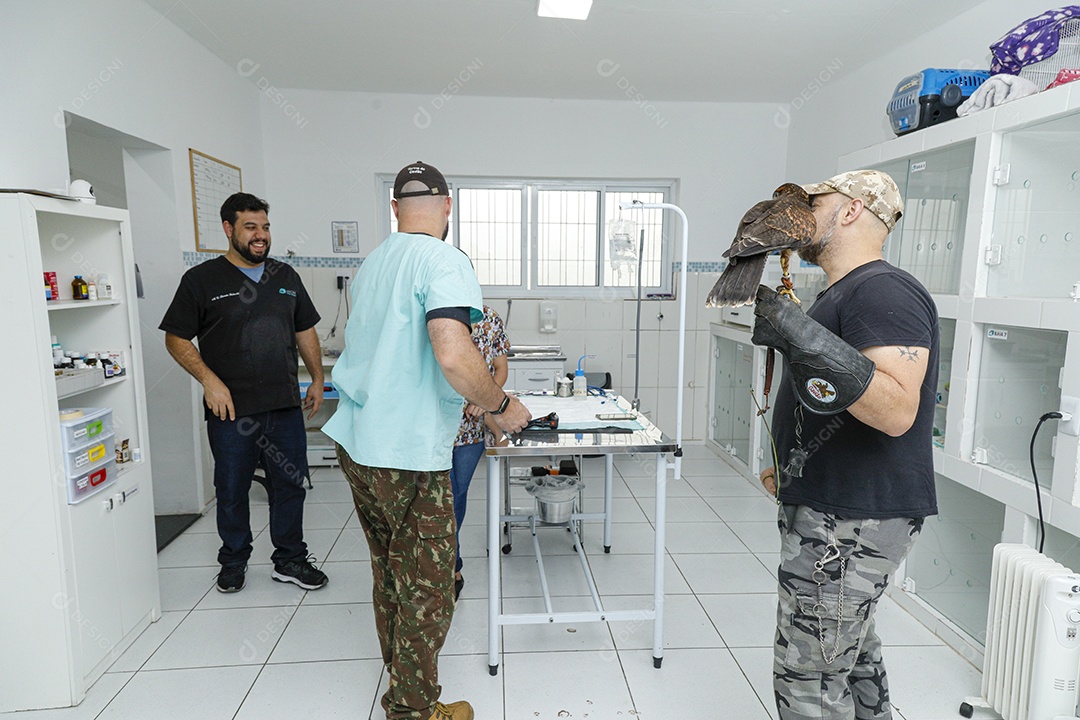 Veterinário cuidando de um pássaro