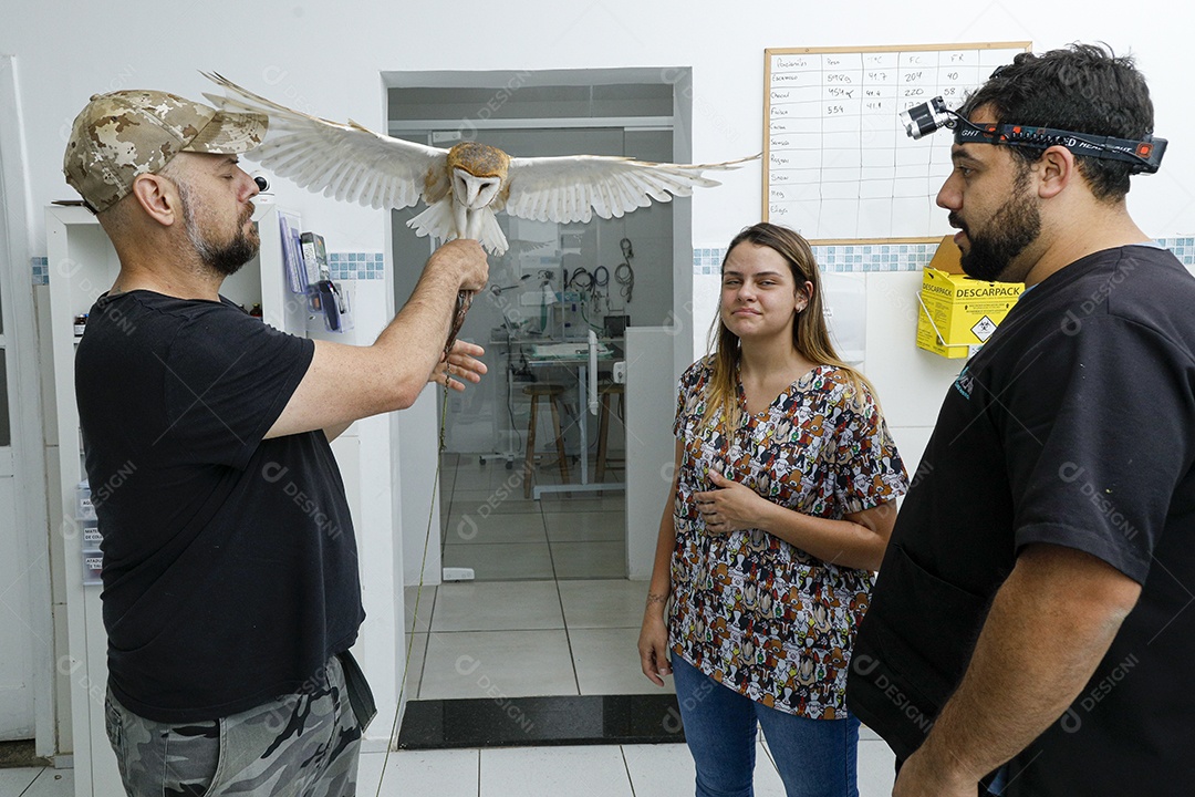 Veterinário fazendo curativo em aves gavião