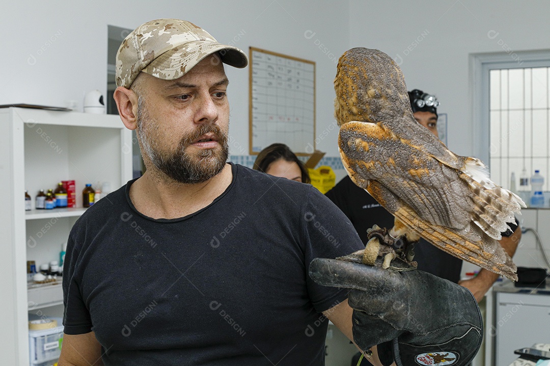 Veterinário fazendo curativo em aves gavião