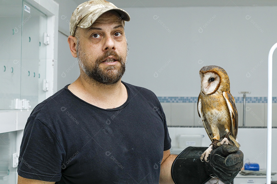 Ave machucada sendo cuidado por veterinários
