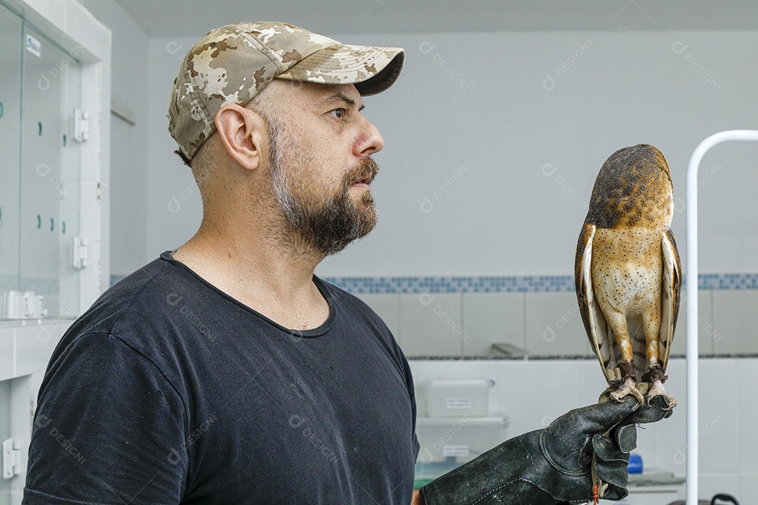 Ave machucada sendo cuidado por veterinários