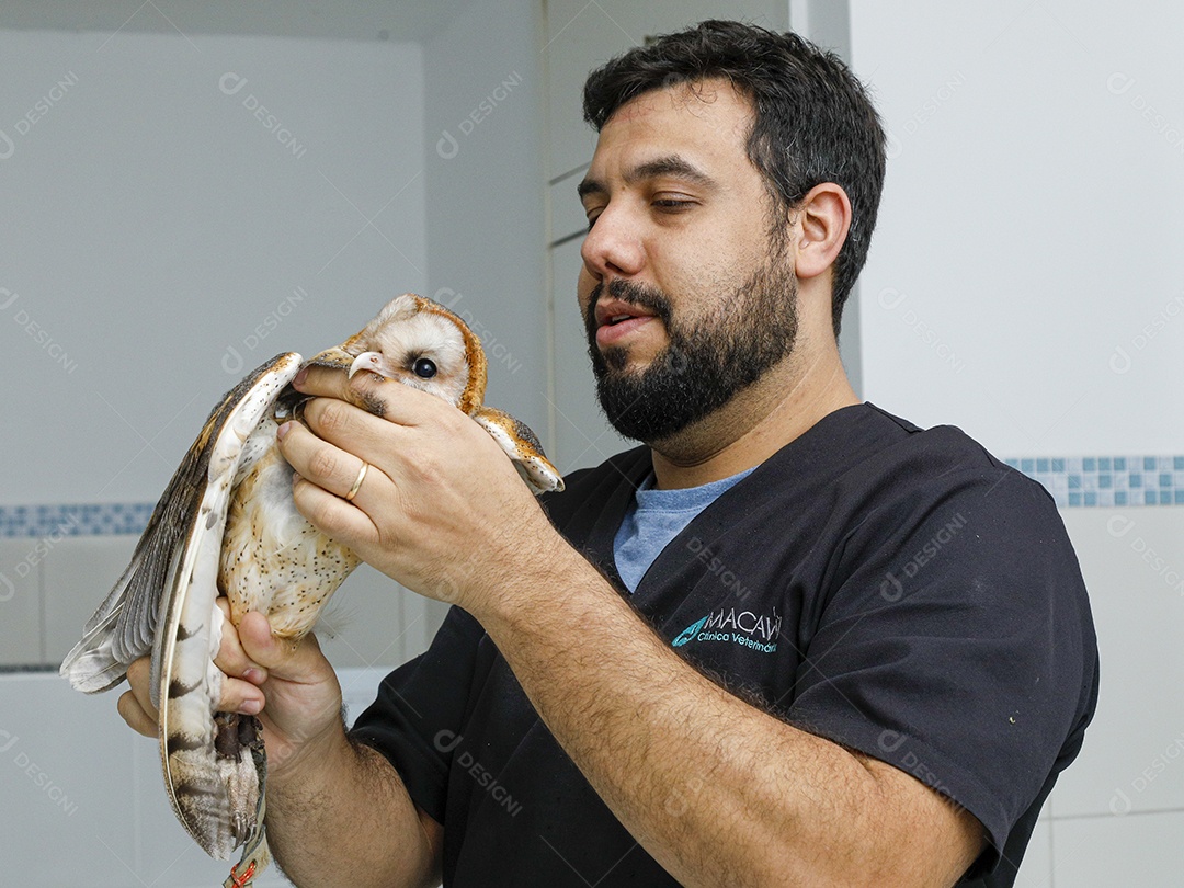 Ave machucada sendo cuidado por veterinários