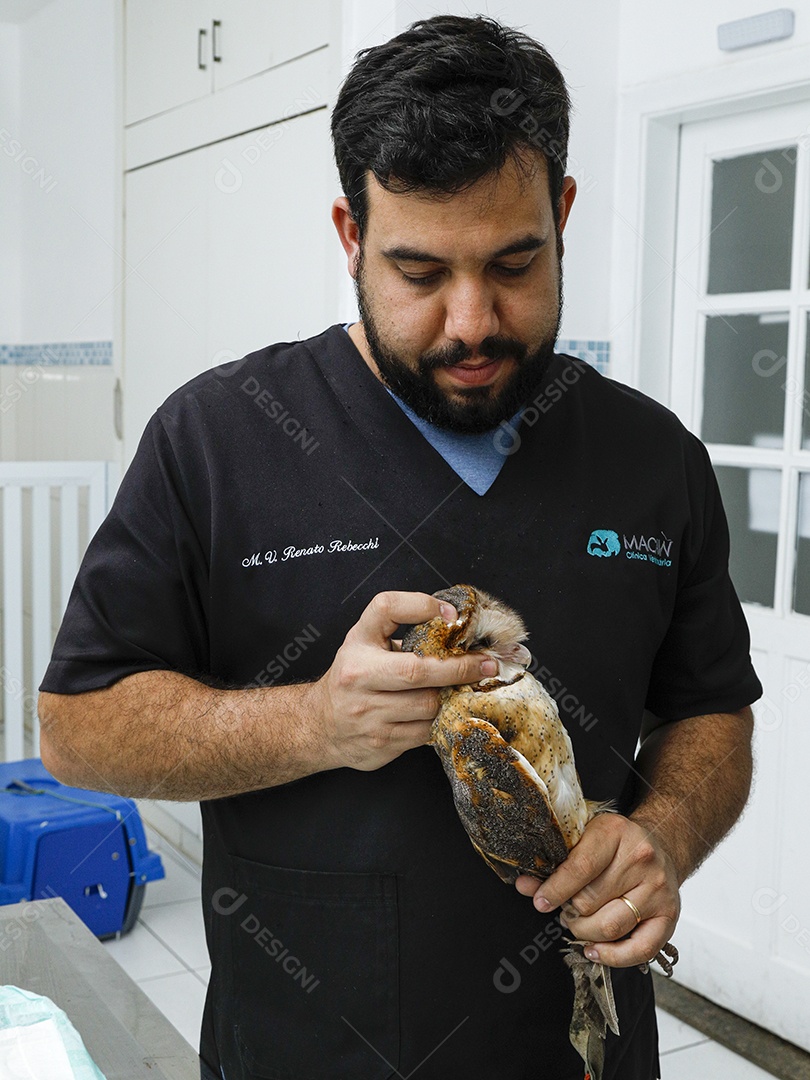 Ave machucada sendo cuidado por veterinários