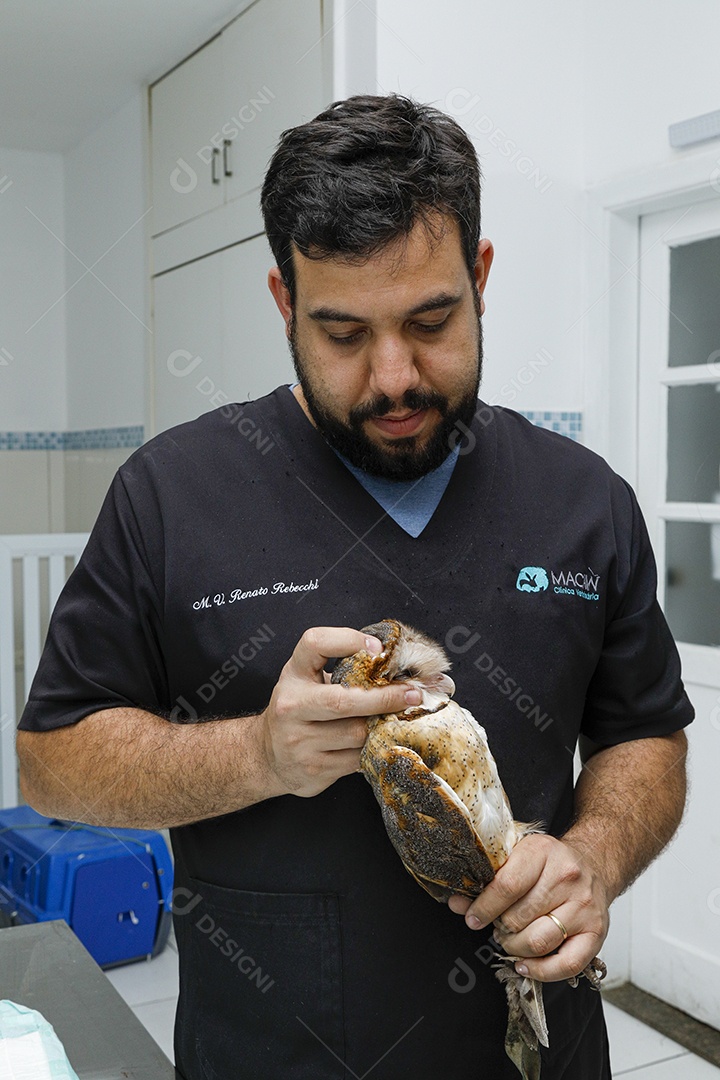 Ave machucada sendo cuidado por veterinários