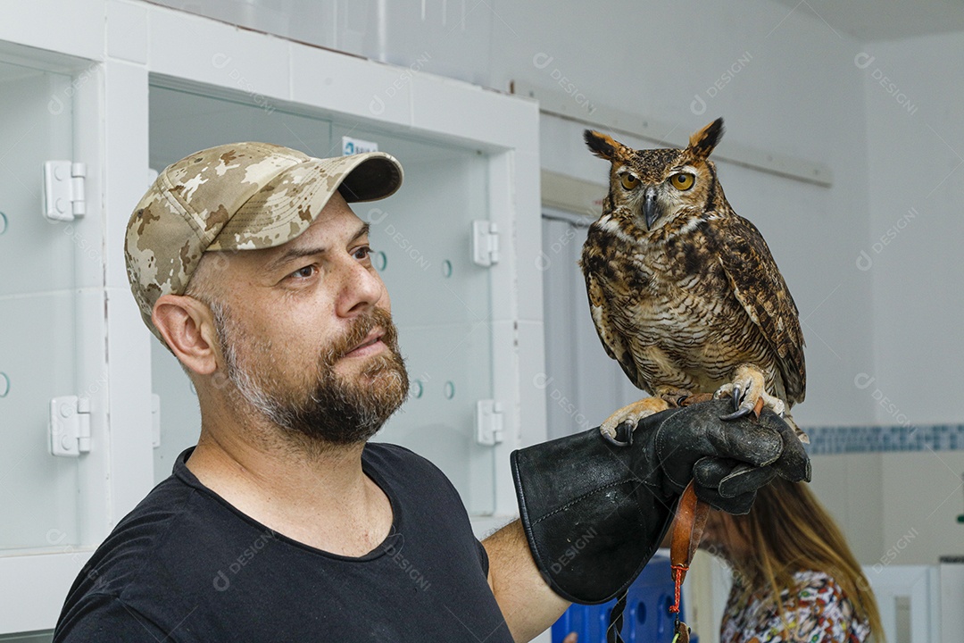 Ave machucada sendo cuidado por veterinários
