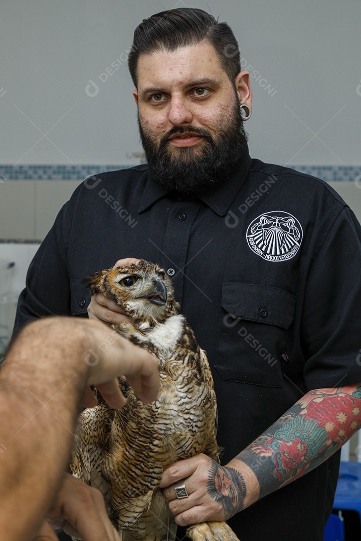 Ave machucada sendo cuidado por veterinários