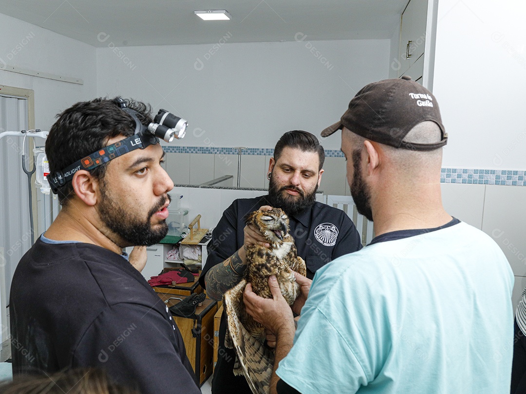 Injured bird being cared for by veterinarians