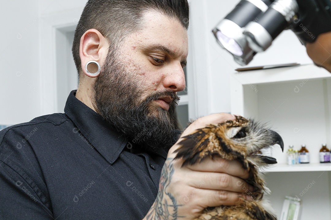 Ave machucada sendo cuidado por veterinários