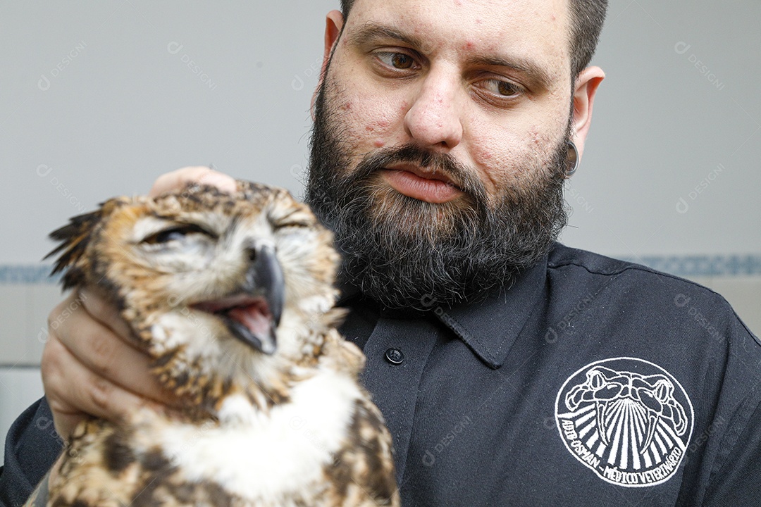 Ave machucada sendo cuidado por veterinário