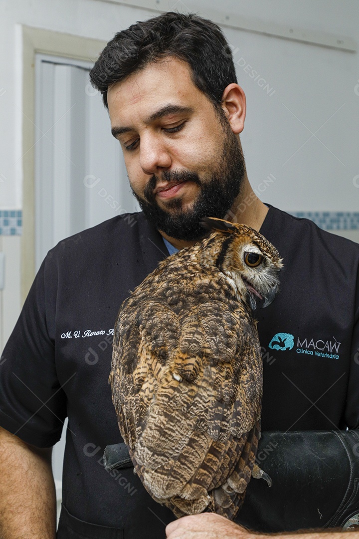 Ave machucada sendo cuidado por veterinário