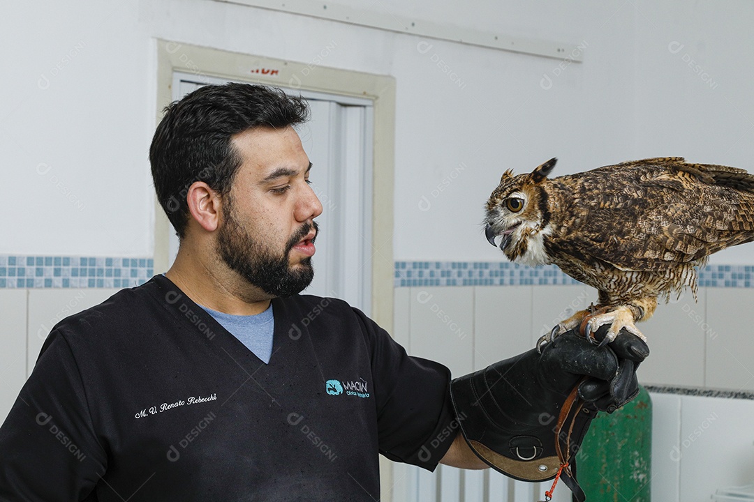 Ave machucada sendo cuidado por veterinário