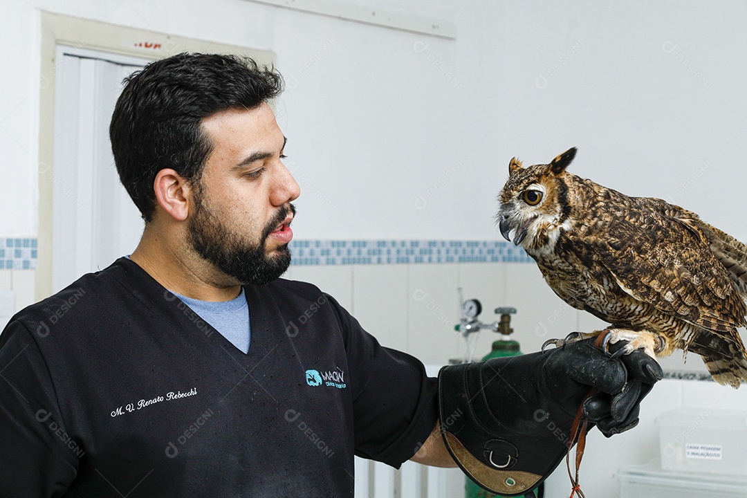 Ave machucada sendo cuidado por veterinário