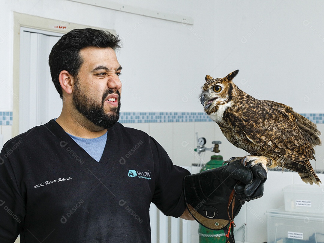 Ave machucada sendo cuidado por veterinário